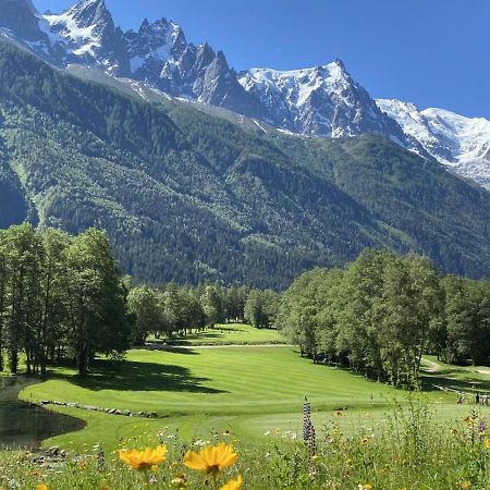 Appartement Morgane A Chamonix Centre Ville, Vue Mont-Blanc, 2 Parkings Prives Esterno foto